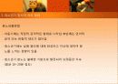 청소년기의 정서발달 17페이지
