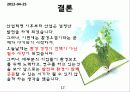 경영학 - 환경 경영 12페이지