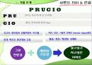 푸르지오 4페이지