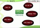 푸르지오 29페이지