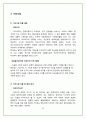 현대차-마케팅 61페이지