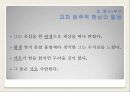 한국어문법론-품사 8페이지