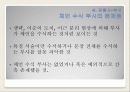 한국어문법론-품사 43페이지