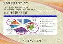 학교폭력 13페이지