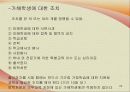 학교폭력 29페이지