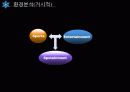 FC서울_ 14페이지