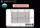 FC서울_ 31페이지