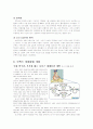 보톡스레포트 9페이지