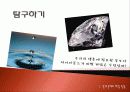 탐구학습모형 - 수업 시연 파워포인트 9페이지