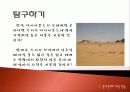 탐구학습모형 - 수업 시연 파워포인트 10페이지