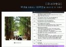 여행업   4페이지