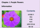 안면도 국제 꽃 박람회  2페이지