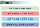 안면도 국제 꽃 박람회  3페이지