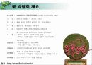 안면도 국제 꽃 박람회  4페이지