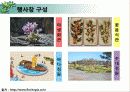 안면도 국제 꽃 박람회  12페이지