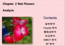 안면도 국제 꽃 박람회  13페이지