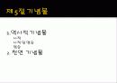 문화적 관광자원 76페이지