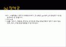 문화적 관광자원 87페이지