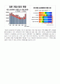 마케팅 원론 사례분석 - 닌텐도 12페이지