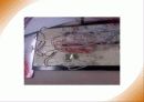 555 타이머를 이용한 10진 업 카운터 설계 27페이지