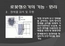 메카트로닉스 로봇청소기 11페이지