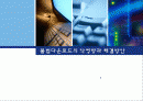 불법다운로드의 악영향과 해결방안 1페이지