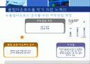 불법다운로드의 악영향과 해결방안 13페이지