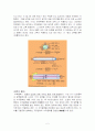 박벽원통 [Thin Walled Cylinder] 실험 2페이지