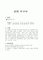 완충용액 예비 보고서 7페이지