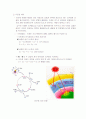 지구환경문제와 환경위생 5페이지