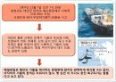 환경과학 - 최근 오염사례 및 고찰 4페이지
