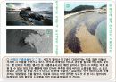 환경과학 - 최근 오염사례 및 고찰 5페이지