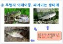 환경과학 - 최근 오염사례 및 고찰 10페이지