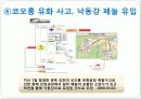 환경과학 - 최근 오염사례 및 고찰 15페이지