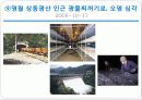 환경과학 - 최근 오염사례 및 고찰 20페이지