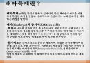★추천레포트★[배아복제 반대의견] 배아복제의 의미, 배아복제의 문제점, 배아복지 사례와 배아복제 반대의견 3페이지