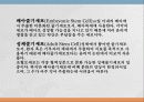 ★추천레포트★[배아복제 반대의견] 배아복제의 의미, 배아복제의 문제점, 배아복지 사례와 배아복제 반대의견 4페이지