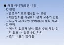 ★추천레포트★[대체 에너지] 현대사회의 에너지 위기와 대체 에너지의 필요성, 대체에너지의 종류와 그 특징 13페이지
