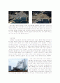 [분석/조사] 추천레포트[일본 대지진] 일본 도호쿠 대지진 이후의 일본의 정책 변화와 도호쿠 대지진에 대한 일본 전체의 반응 및 일본의 향후 전망 9페이지