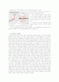 [분석/조사] 추천레포트[일본 대지진] 일본 도호쿠 대지진 이후의 일본의 정책 변화와 도호쿠 대지진에 대한 일본 전체의 반응 및 일본의 향후 전망 11페이지