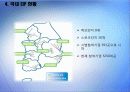 ★추천레포트★[에너지 절약방안] 재활용의 현황, 재활용 필요성, 폐기물 에너지 재활용 방안 및 재활용 에너지 극대화 방안 26페이지
