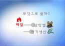 ★추천레포트★[에너지 절약방안] 재활용의 현황, 재활용 필요성, 폐기물 에너지 재활용 방안 및 재활용 에너지 극대화 방안 48페이지