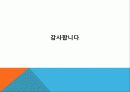 사회복지정책 평가 29페이지