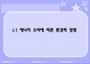 [에너지와 환경2] 1. 에너지 소비에 따른 환경의 영향과 그 대책에 대하여 쓰시오. 2. 강의를 듣고 앞으로의 각오와 우리나라의 에너지 정책은 어떻게 전개해야 하는지에 대하여 쓰시오.  9페이지