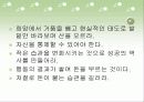 [한국의 부자들2][죽을 각오로 시작하는 부자 되기 프로그램][독후감][독서감상문][서평]한국의 부자들2 - 죽을 각오로 시작하는 부자 되기 프로그램을 읽고, 한국의 부자들2 독후감, 독서감상문, 서평 6페이지