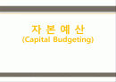 자본예산(excel) 1페이지