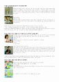 언어습득의 비밀 4부 (아기성장보고서) 3페이지