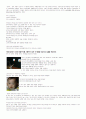 언어습득의 비밀 4부 (아기성장보고서) 5페이지