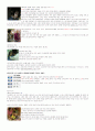 언어습득의 비밀 4부 (아기성장보고서) 6페이지