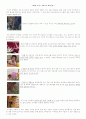 제2편 아기는 과학자로 태어난다 1페이지